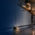 Signs of rat infestation in a kitchen as a rat emerges from beneath cabinets