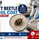Professional carpet beetle control cost guide showing inspection, treatment, and pricing factors in London.