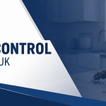 Professional fly control treatment in a UK home to reduce fly infestation risks