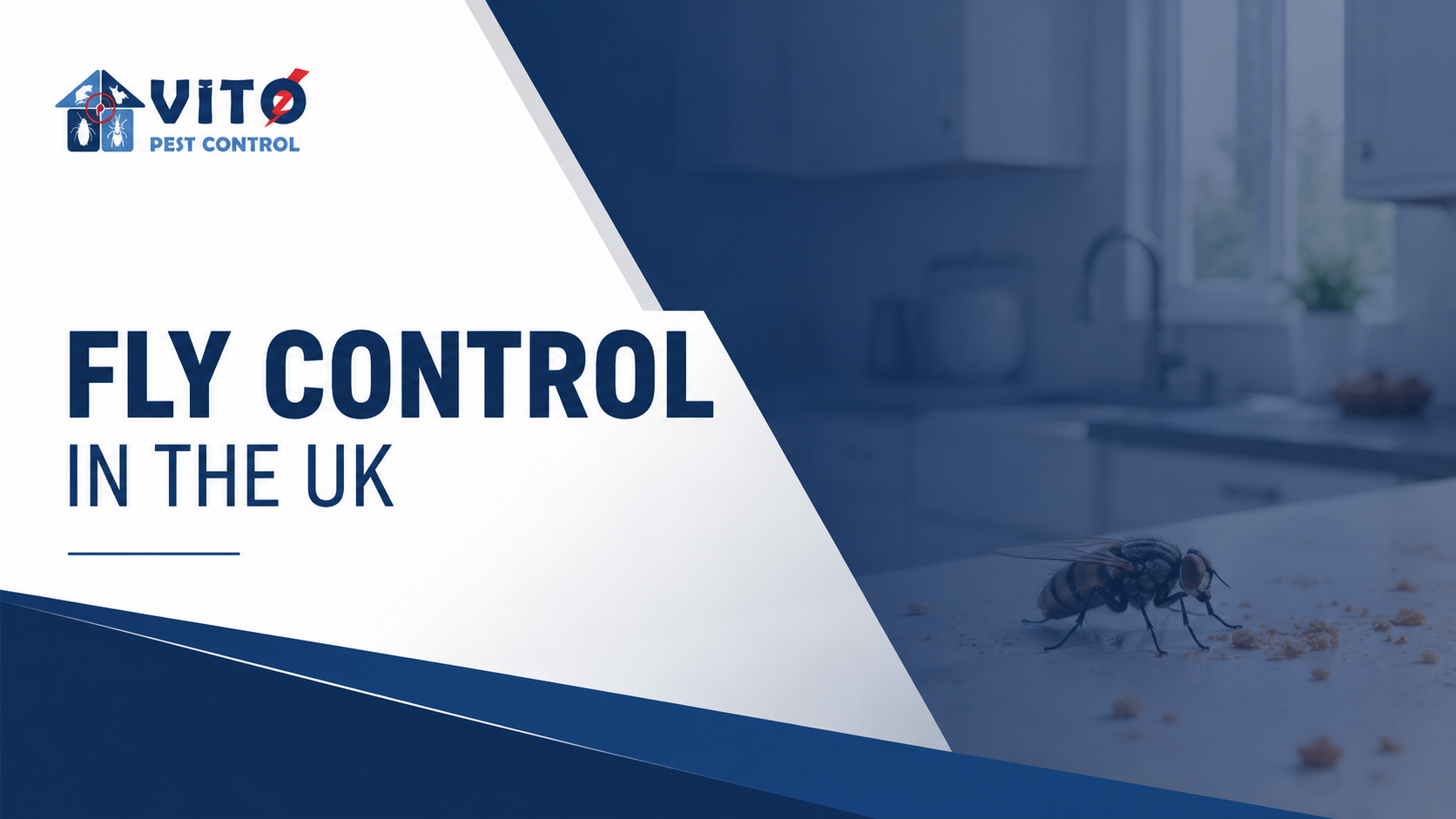 Professional fly control treatment in a UK home to reduce fly infestation risks